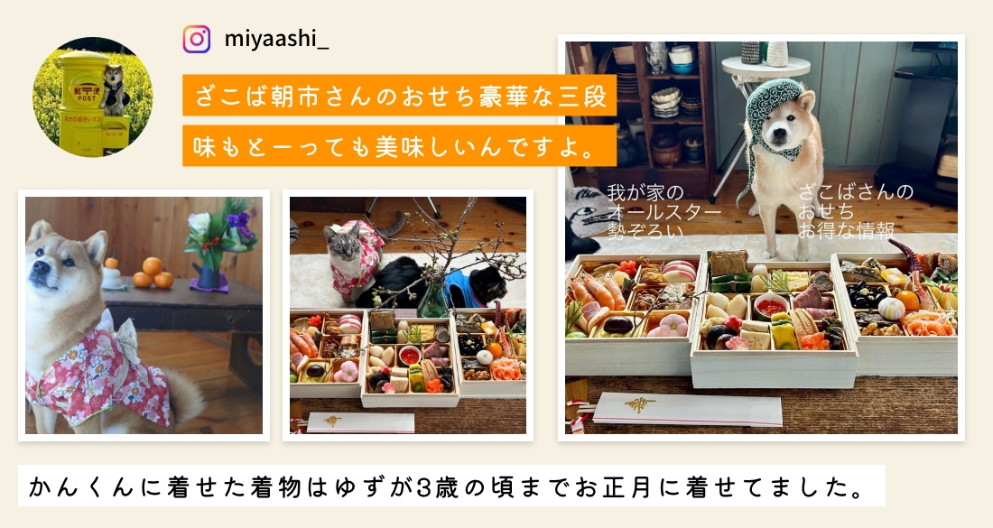 #ざこばのおせち