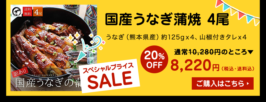 訳あり】国産うなぎ蒲焼 5尾(約125g×5）【送料無料】 うなぎ 鰻 ウナギ