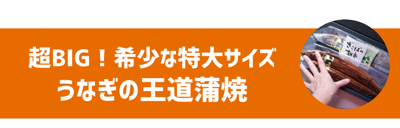 超BIG！希少な特大サイズ うなぎの王道蒲焼
