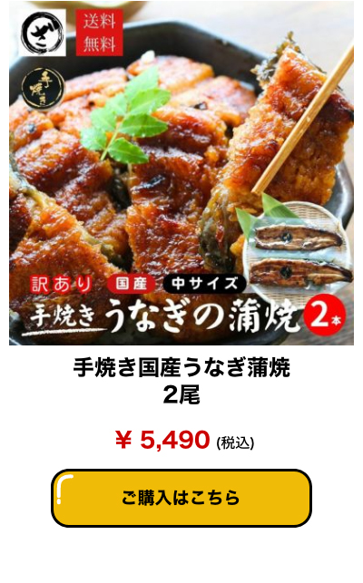 手焼き国産うなぎ蒲焼2尾