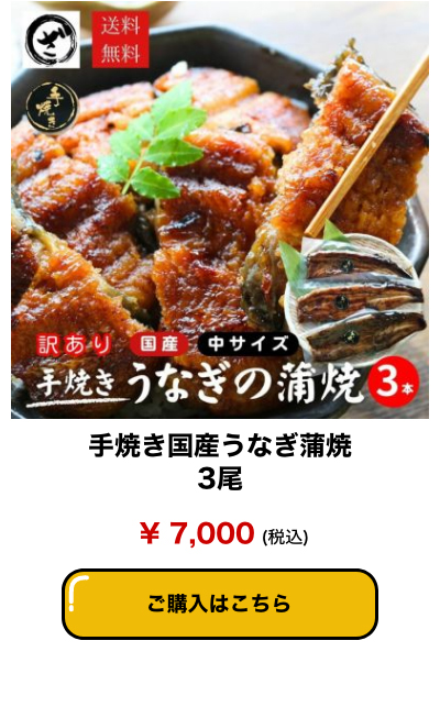 手焼き国産うなぎ蒲焼3尾