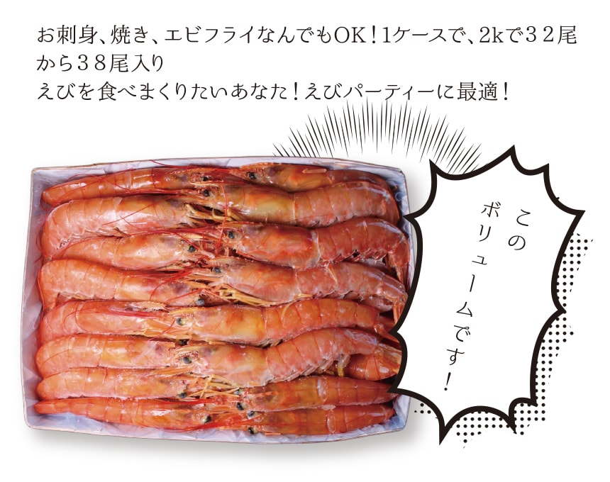 有頭　公式オンラインショップ｜鮭・数の子・うなぎ・旬の海鮮を通販で　２ｋｇ（約３５尾）　特大　送料無料　ざこばの朝市　赤海老　バラ凍結　天然赤エビ　冷凍　生食可　えび　ざこばの朝市で旬の魚をお取り寄せ