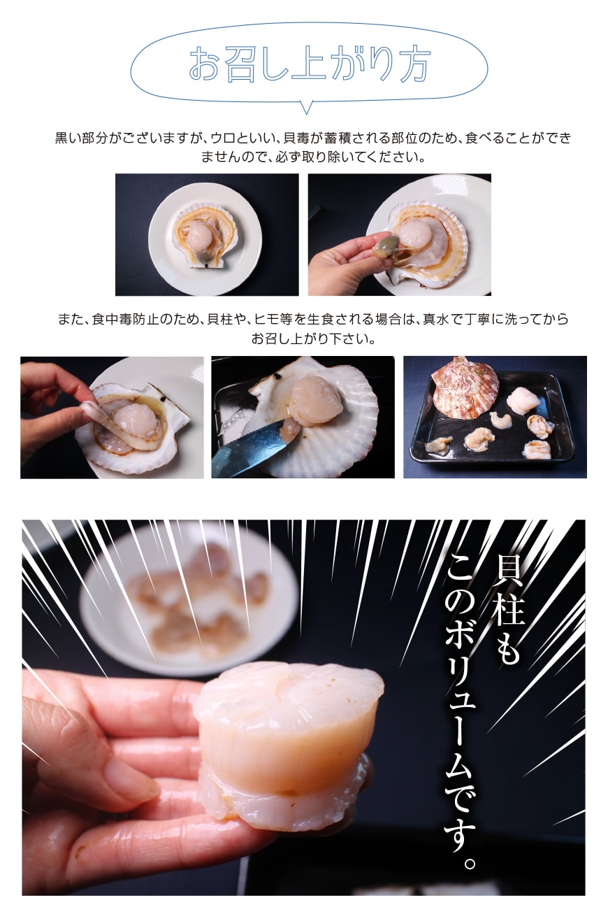 殻付き 活けホタテ貝 約200gx5枚セット 冷蔵 チルド便 北海道産 新鮮 q キャンプ飯 海鮮 かい ざこばの朝市 公式オンラインショップ 殻付き 活けホタテ貝 約200gx5枚セット 冷蔵 チルド便 北海道産 新鮮 q キャンプ飯 海鮮 かい ざこばの朝市 公式オンラインショップ