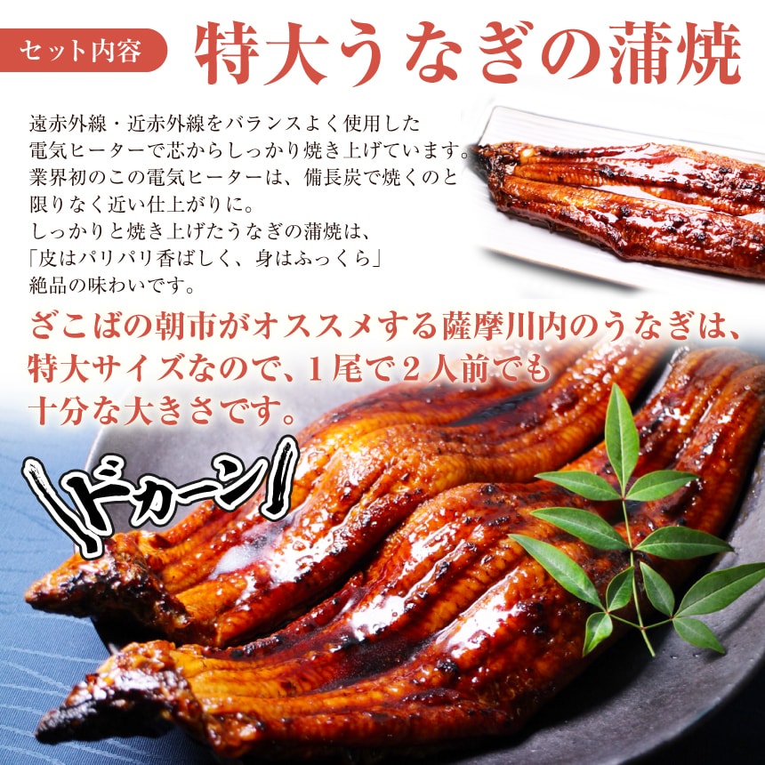 特大うなぎ（鰻・ウナギ）の蒲焼は皮はパリパリ香ばしく、身はふっくら