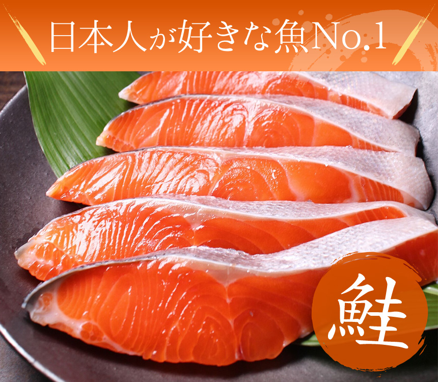 サケ剥製
