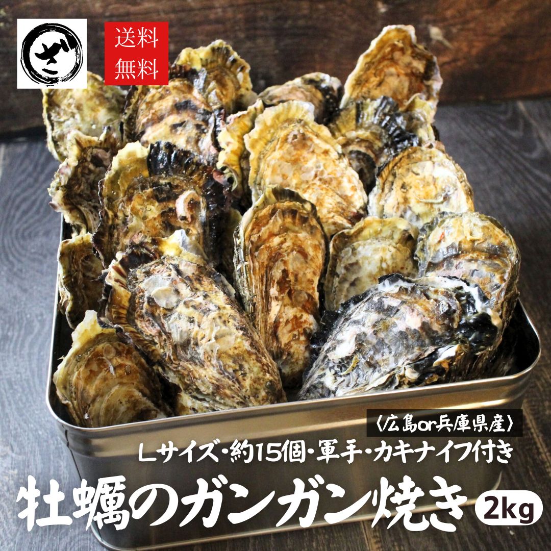 カキ 牡蠣 かき ガンガン焼き BBQ