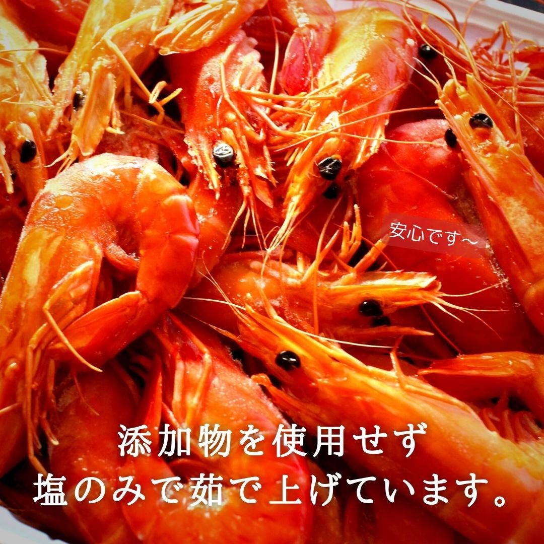 生食可 活有頭ボイルエビ 1kｇ 海老 えび ぷりっぷり q ギフト ざこばの朝市 公式オンラインショップ 鮭 数の子 うなぎ 旬の海鮮を通販で ざこばの朝市で旬の魚をお取り寄せ