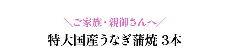 早割 早期割引 お中元 帰省土産 夏の挨拶 送料無料 ギフト対応 ご家族・親御さんへ！ 極上 九州産 特大うなぎの蒲焼き