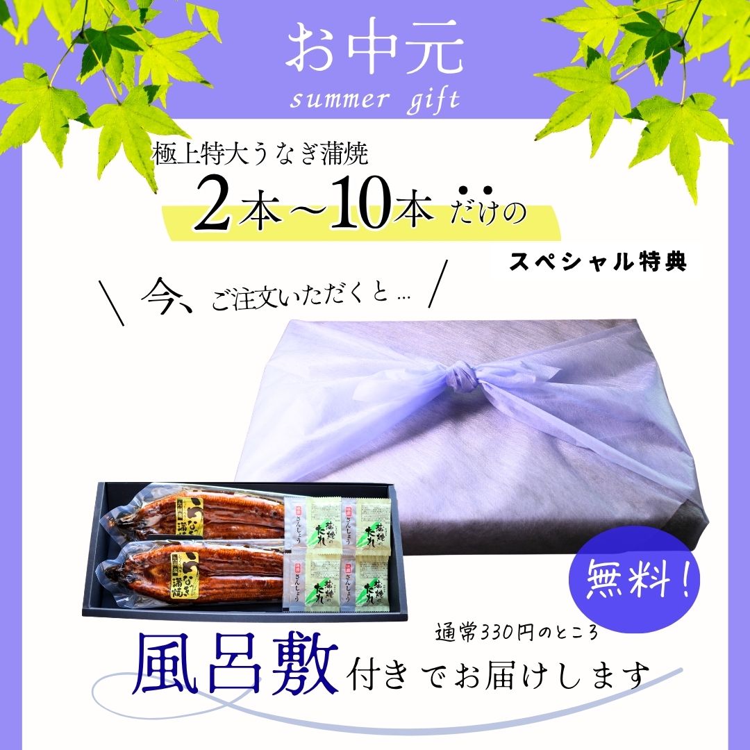 早割 早期割引 お中元 帰省土産 夏の挨拶 送料無料 ギフト対応