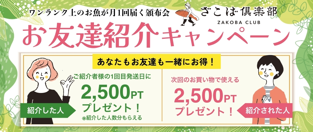 頒布会　紹介 キャンペーン