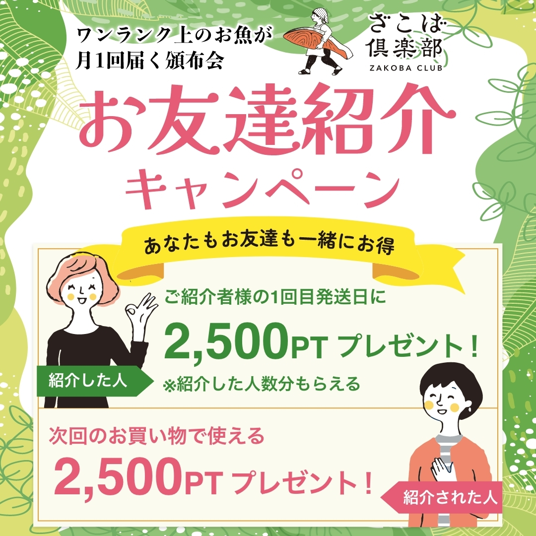 頒布会　紹介 キャンペーン