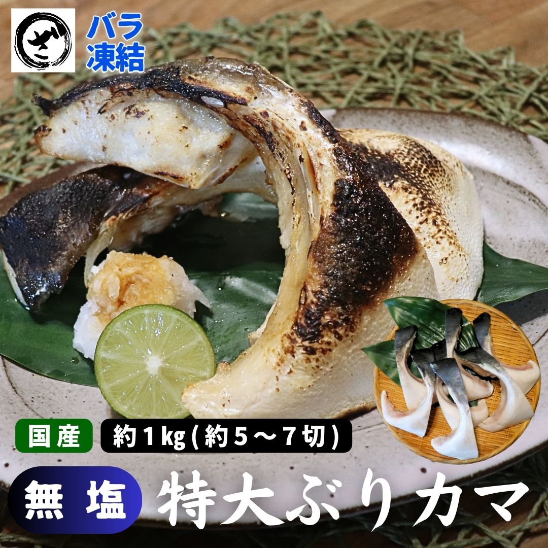 はまち様専用 はまち様専用