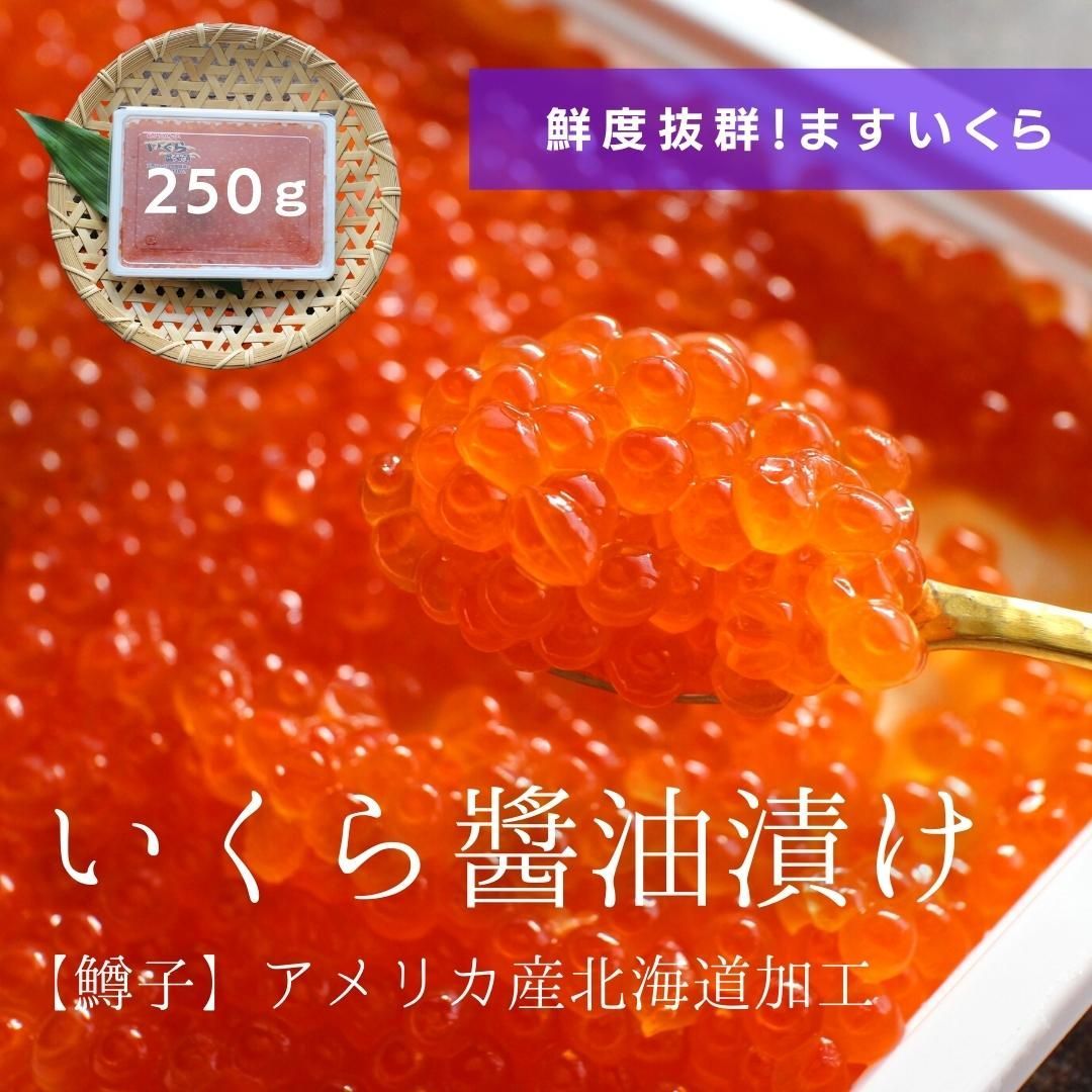 いくら イクラ 鮭 いくら醤油漬 クール便 国内加工 冷凍 250g×2 500g さけ 送料無料 大容量