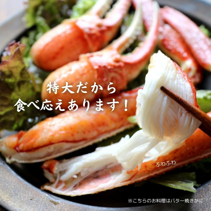 カニ かに 蟹 ずわい ズワイ ずわいがに ズワイガニ 生食可