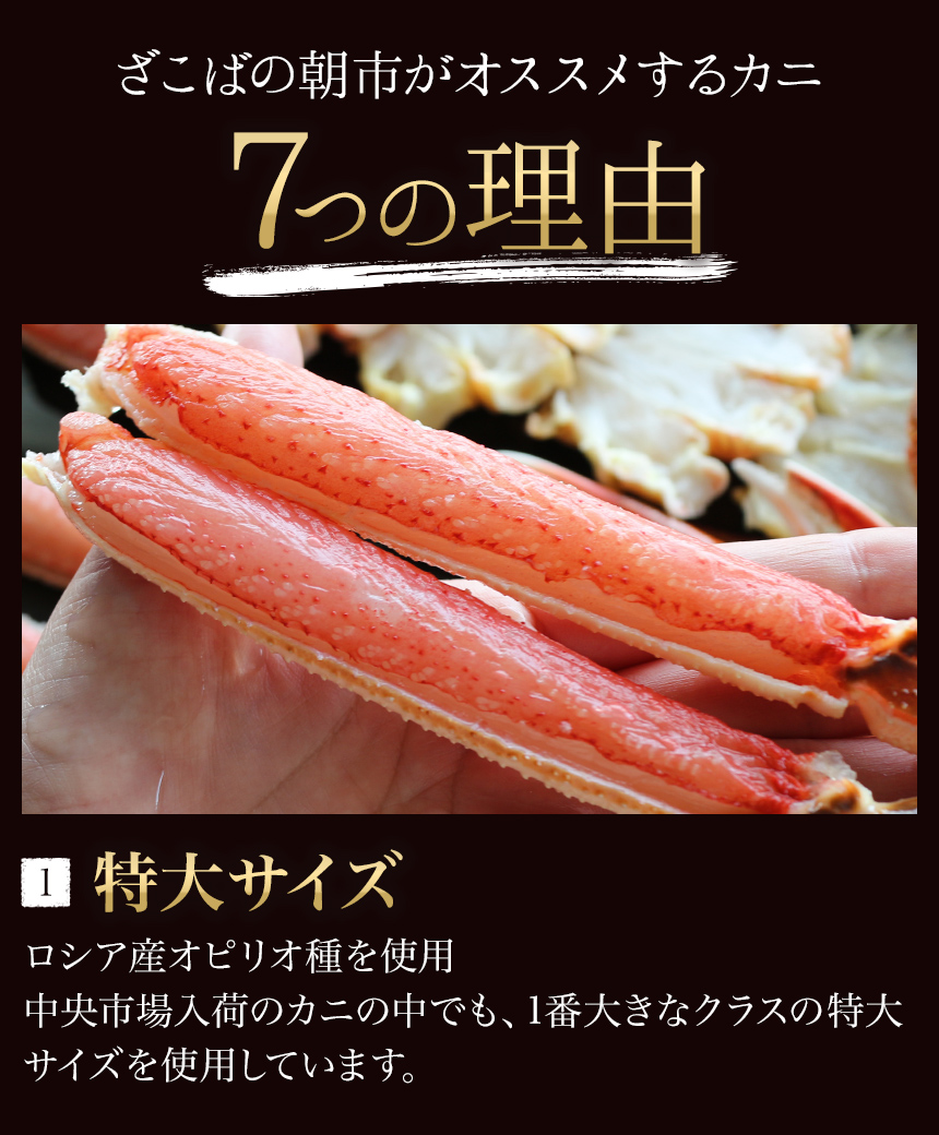 カニ かに 蟹 ずわい ズワイ ずわいがに ズワイガニ 生食可