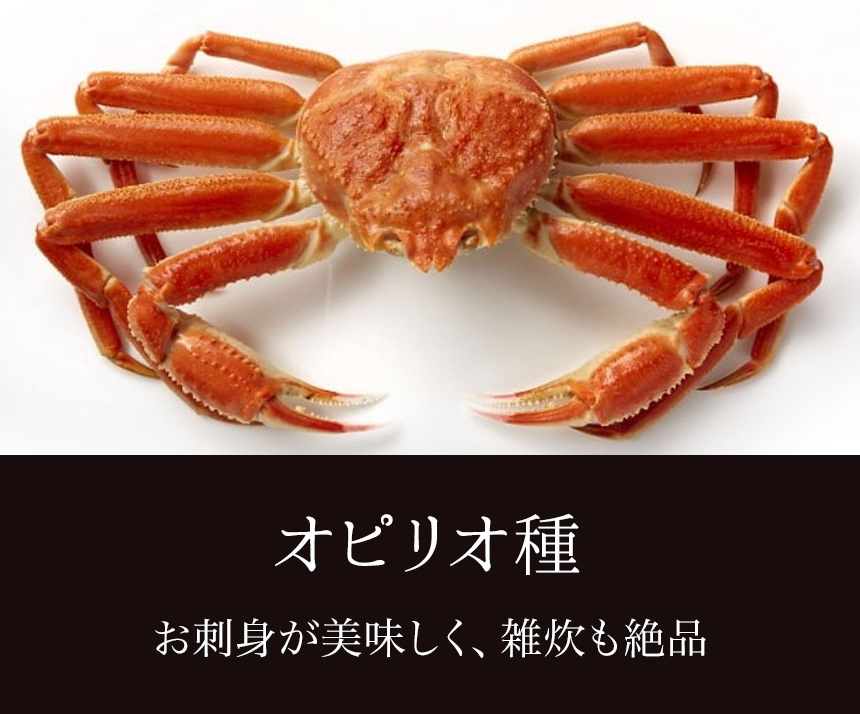 カニ かに 蟹 ずわい ズワイ ずわいがに ズワイガニ 生食可