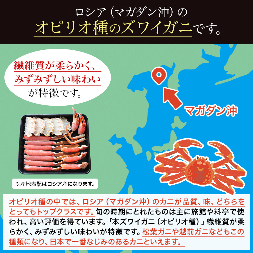 カニ かに 蟹 ずわい ズワイ ずわいがに ズワイガニ 生食可