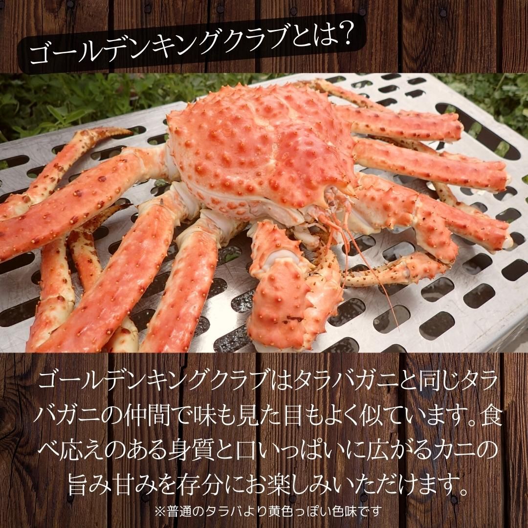 ゴールデンキングクラブ4肩1.6kg（総重量2kg） カニ 蟹 かに タラバガニ科 | ざこばの朝市  公式オンラインショップ｜鮭・数の子・うなぎ・旬の海鮮を通販で | ざこばの朝市で旬の魚をお取り寄せ