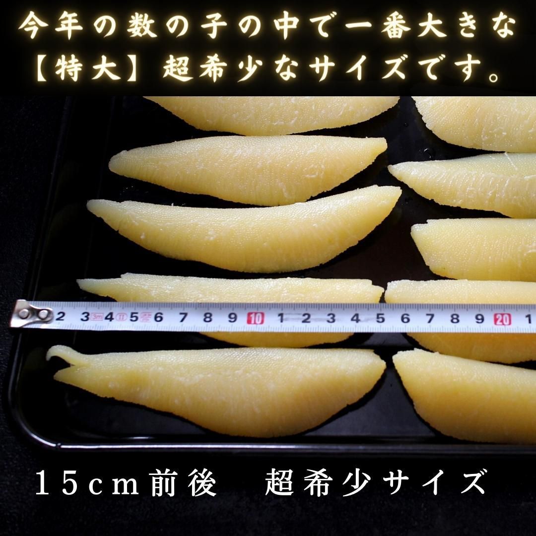 お歳暮ギフト 天然 塩数の子 アラスカ産 特大サイズ １k 1本物 送料無料 本ちゃん かずのこ カズノコ 大きい 最大級 | ざこばの朝市  公式オンラインショップ｜鮭・数の子・うなぎ・旬の海鮮を通販で | ざこばの朝市で旬の魚をお取り寄せ