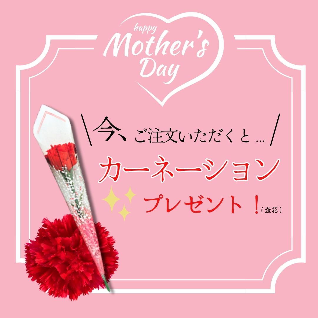 母の日 限定特典 風呂敷 カーネーション 西京漬 西京漬け 味噌漬け 銀だら ぎんだら 贈答 ギフト