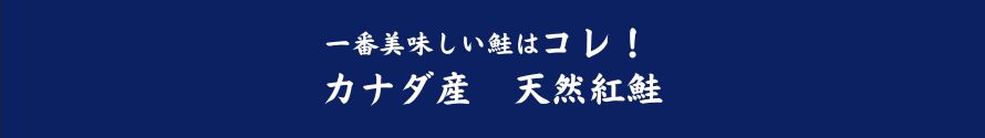 一番おいしい鮭はコレ！　カナダ産　天然紅鮭