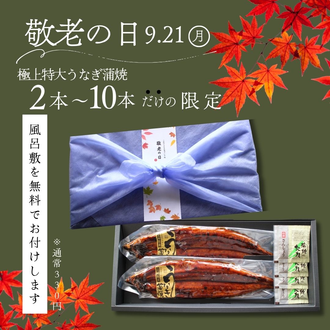 早割 早期割引 敬老の日 帰省土産 夏の挨拶 送料無料 ギフト対応