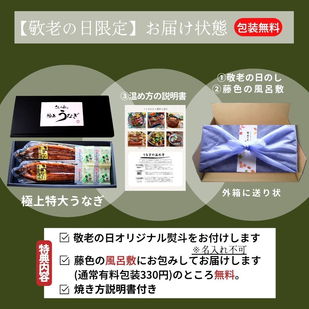 早割 早期割引 敬老の日 帰省土産 夏の挨拶 送料無料 ギフト対応