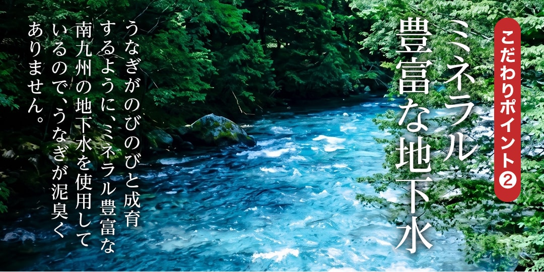 こだわりポイント2 ミネラル豊富な地下水で育てたうなぎ