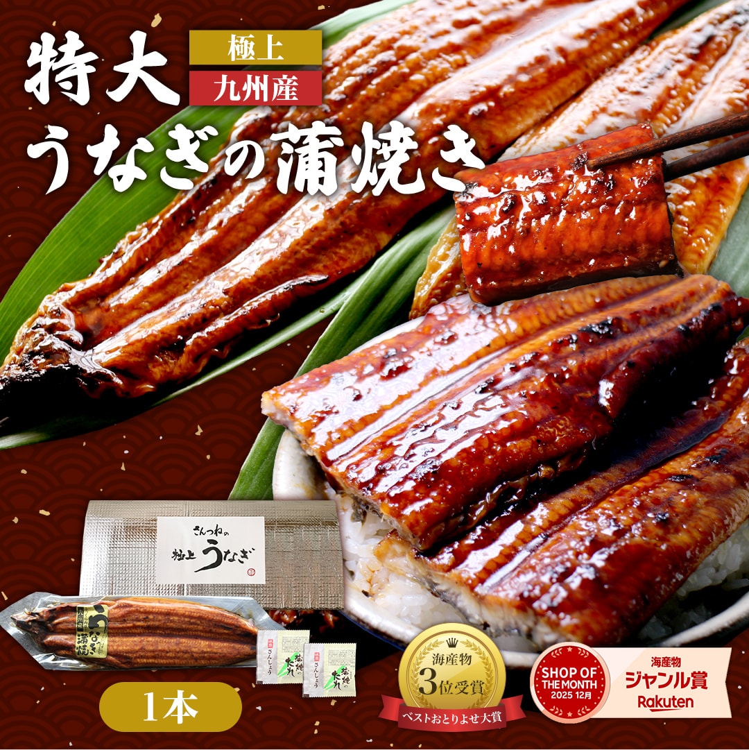 極上 九州産 特大うなぎの蒲焼き 送料無料 ギフト対応