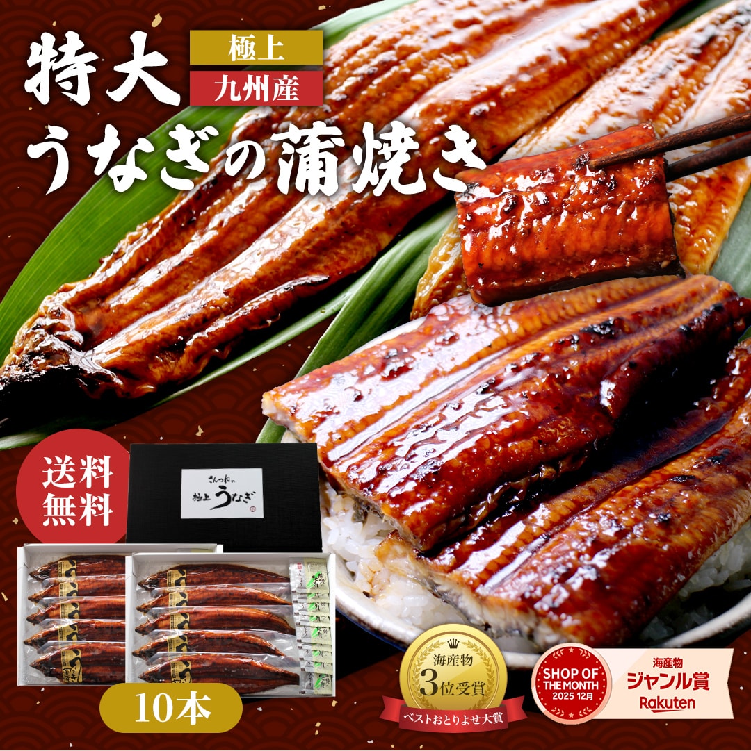 極上 九州産 特大うなぎの蒲焼き 送料無料 ギフト対応