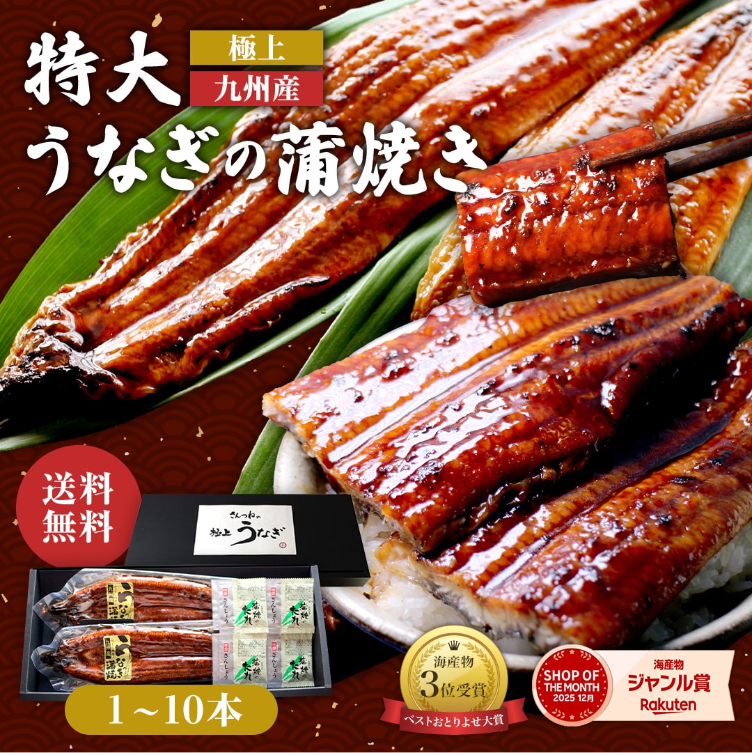 極上 九州産 特大うなぎの蒲焼き 送料無料 ギフト対応