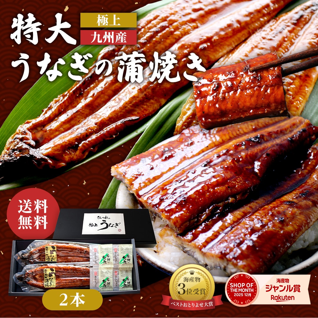 極上 九州産 特大うなぎの蒲焼き 送料無料 ギフト対応