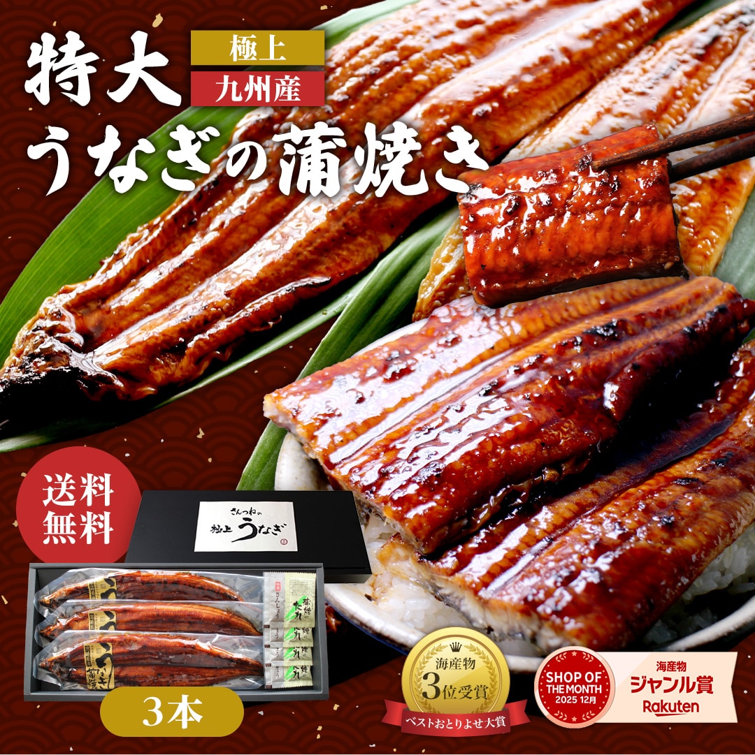 極上 九州産 特大うなぎの蒲焼き 送料無料 ギフト対応