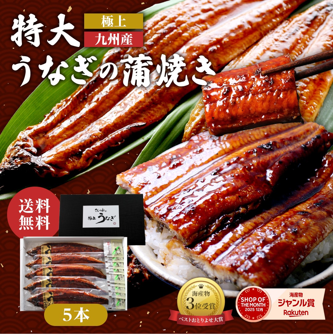 極上 九州産 特大うなぎの蒲焼き 送料無料 ギフト対応