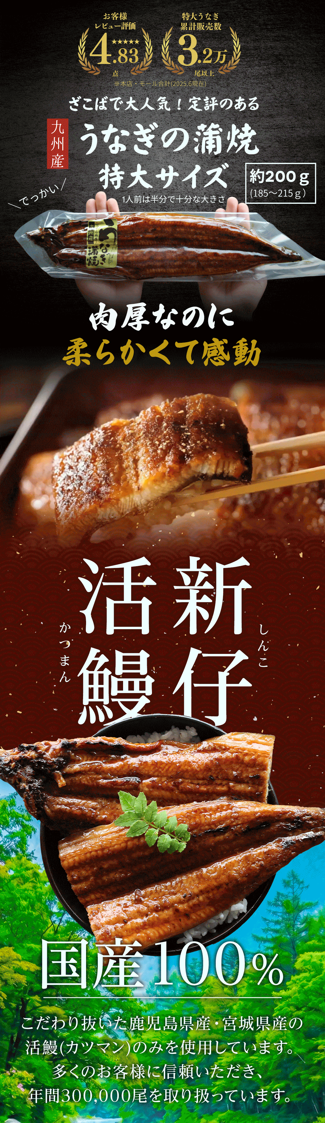 レビュー評価4.83点 累計販売数3.2万尾以上 特大サイズ約200gの九州産うなぎ蒲焼