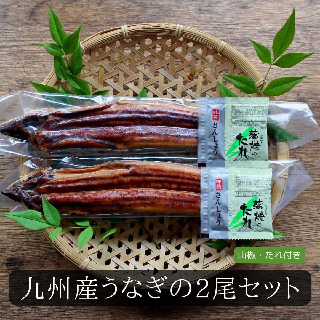 2尾(約125ｇ×2）【送料無料】　うなぎ・旬の海鮮を通販で　ざこばの朝市で旬の魚をお取り寄せ　ざこばの朝市　訳あり】国産うなぎ蒲焼　ウナギ　うな丼　蒲焼　公式オンラインショップ｜鮭・数の子・　うなぎ　鰻