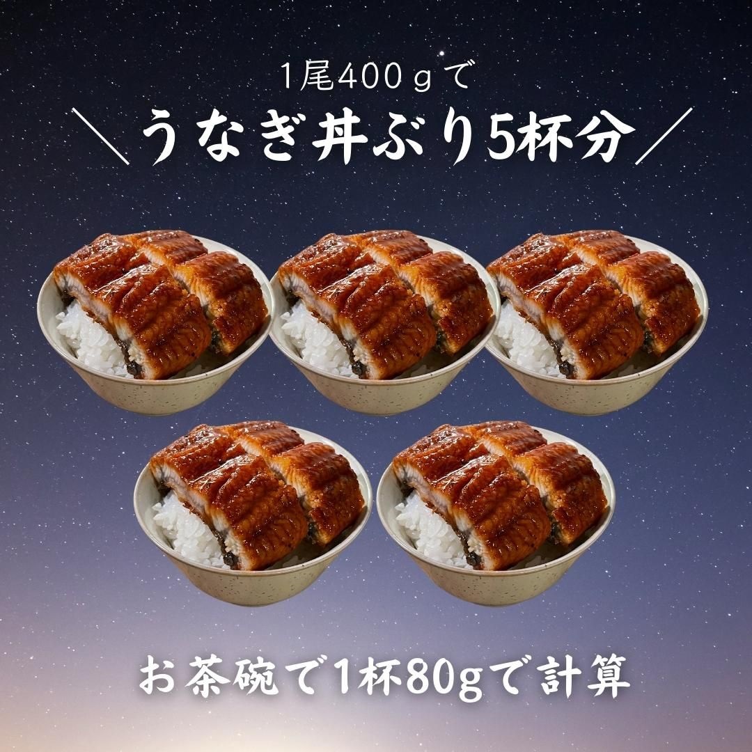 超特大うなぎ蒲焼（400g前後) 1尾 ウナギ 鰻 うな丼 贅沢 ギフト ざこばの朝市 公式オンラインショップ｜鮭・数の子・うなぎ・旬の海鮮を通販で  ざこばの朝市で旬の魚をお取り寄せ