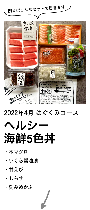 2022年4月 はぐくみコース