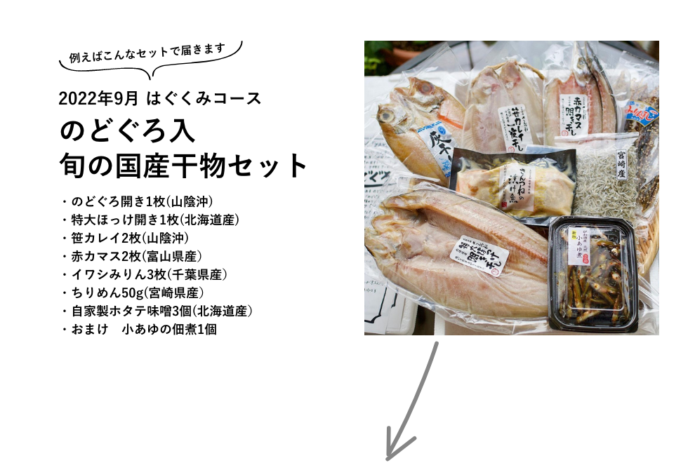 2022年9月 はぐくみコース