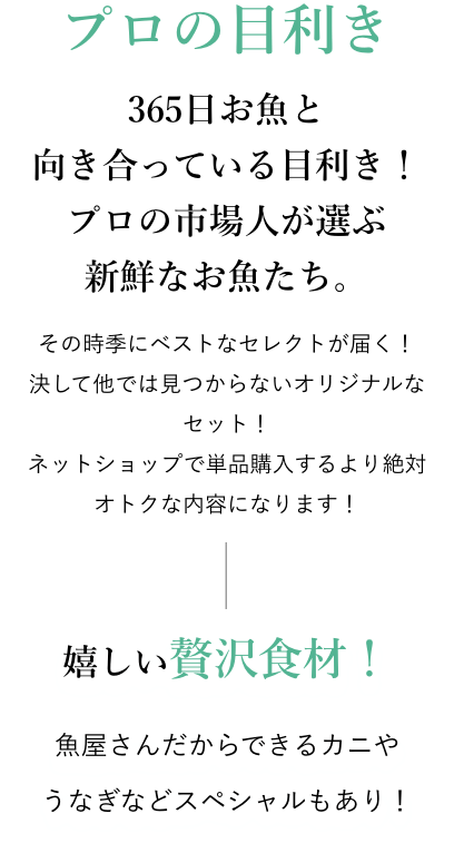 365日お魚と向き合っている目利き！プロの市場人が選ぶ新鮮なお魚たち。