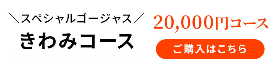 きわみコース