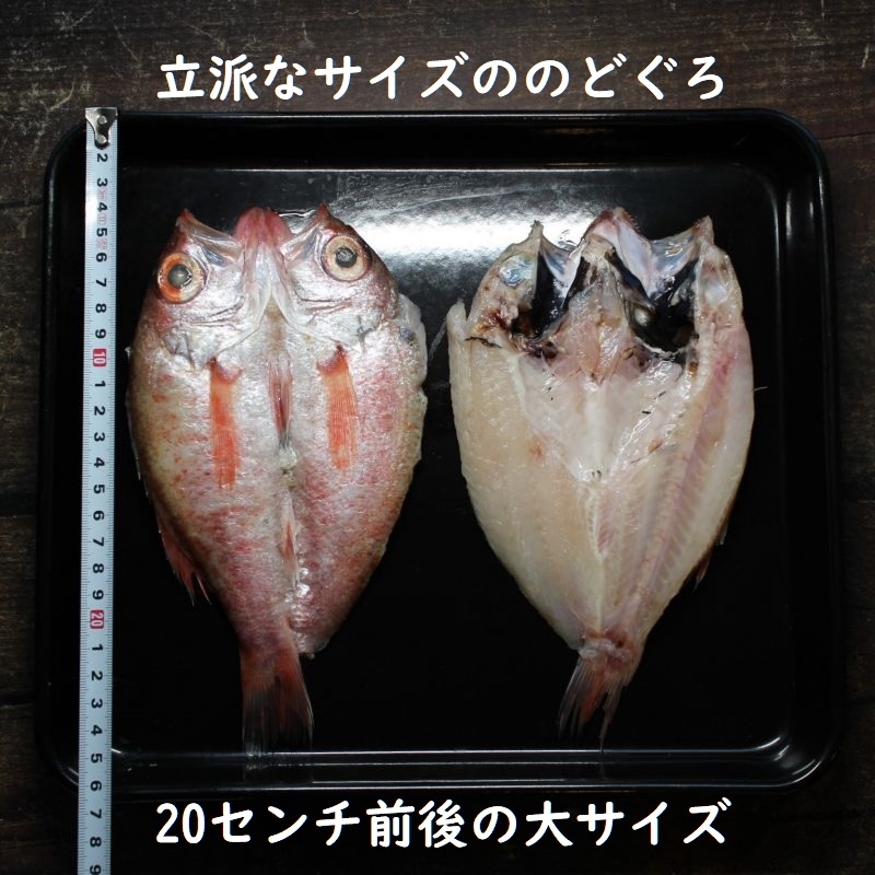 市場 生 ノドグロ 約2尾 赤ムツ アカムツ 500g