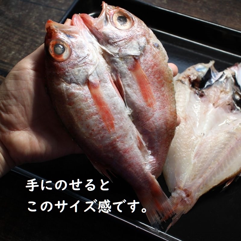 最高級】のどぐろ3枚 ノドグロ あかむつ アカムツ 白身のトロ 高級魚 干物の王様 | ざこばの朝市  公式オンラインショップ｜鮭・数の子・うなぎ・旬の海鮮を通販で | ざこばの朝市で旬の魚をお取り寄せ