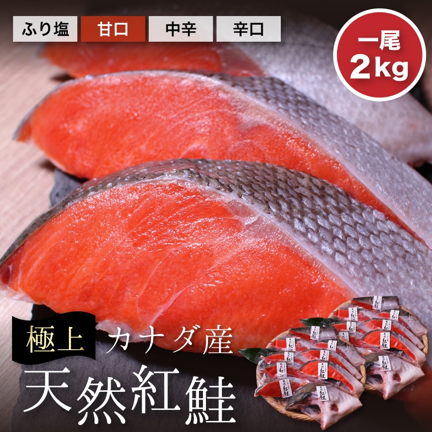 高級鮭　ご自宅用　ざこばの朝市　塩鮭　ギフト　カナダ産・天然紅鮭1尾約２ｋｇ　ざこばの朝市で旬の魚をお取り寄せ　冷凍便　公式オンラインショップ｜鮭・数の子・うなぎ・旬の海鮮を通販で