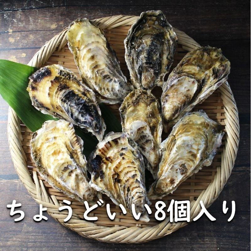 カキのガンガン焼き BBQ ４人前