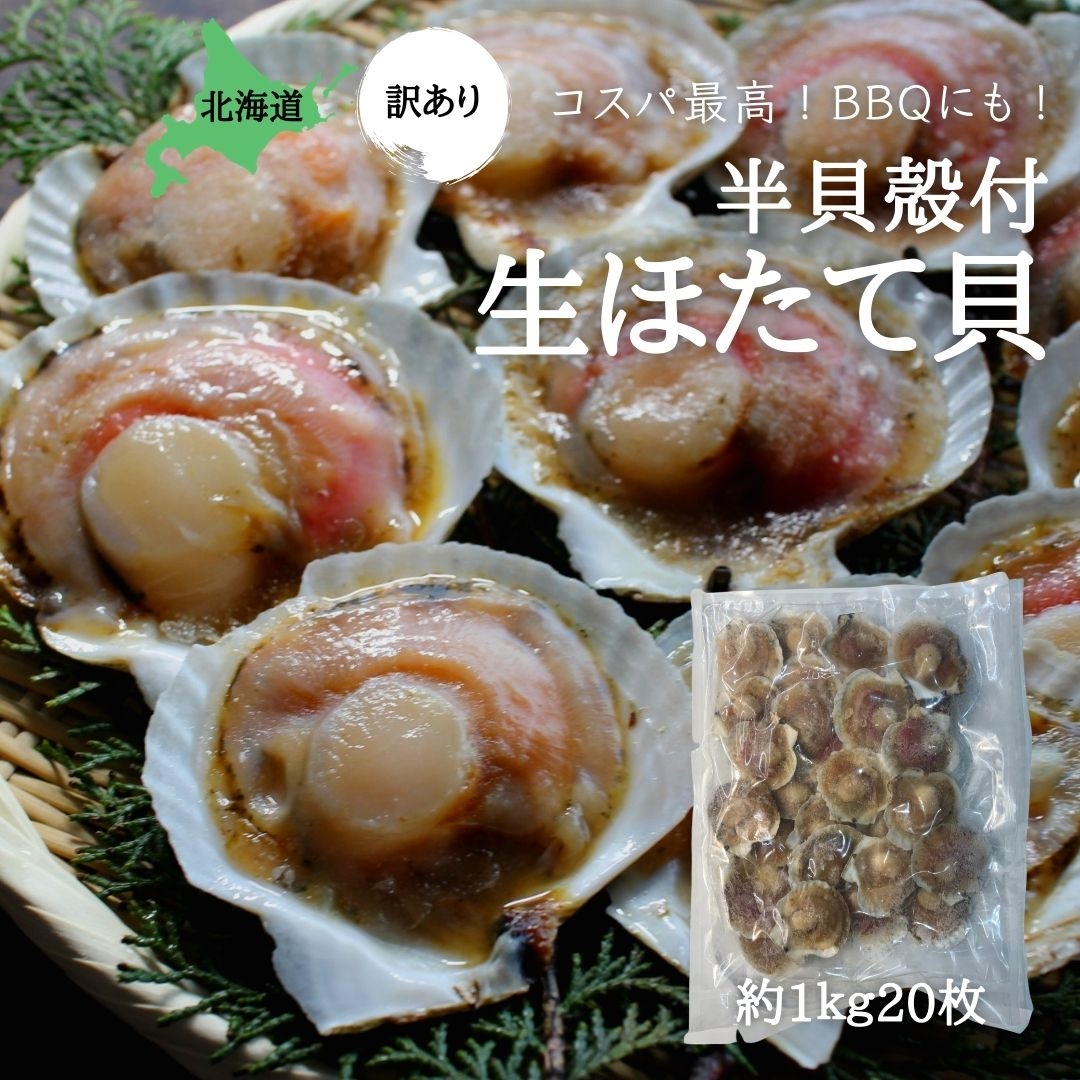 訳あり 殻付き生ほたて 片貝付き 1k 約枚 北海道産 冷凍 ホタテ 帆立 国産 ざこばの朝市 公式オンラインショップ 訳あり 殻付き生ほたて 片貝付き 1k 約枚 北海道産 冷凍 ホタテ 帆立 国産 ざこばの朝市 公式オンラインショップ