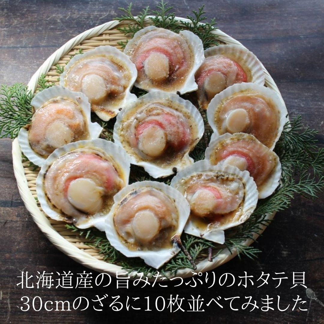 訳あり 殻付き生ほたて 片貝付き 1k 約枚 北海道産 冷凍 ホタテ 帆立 国産 ざこばの朝市 公式オンラインショップ 訳あり 殻付き生ほたて 片貝付き 1k 約枚 北海道産 冷凍 ホタテ 帆立 国産 ざこばの朝市 公式オンラインショップ
