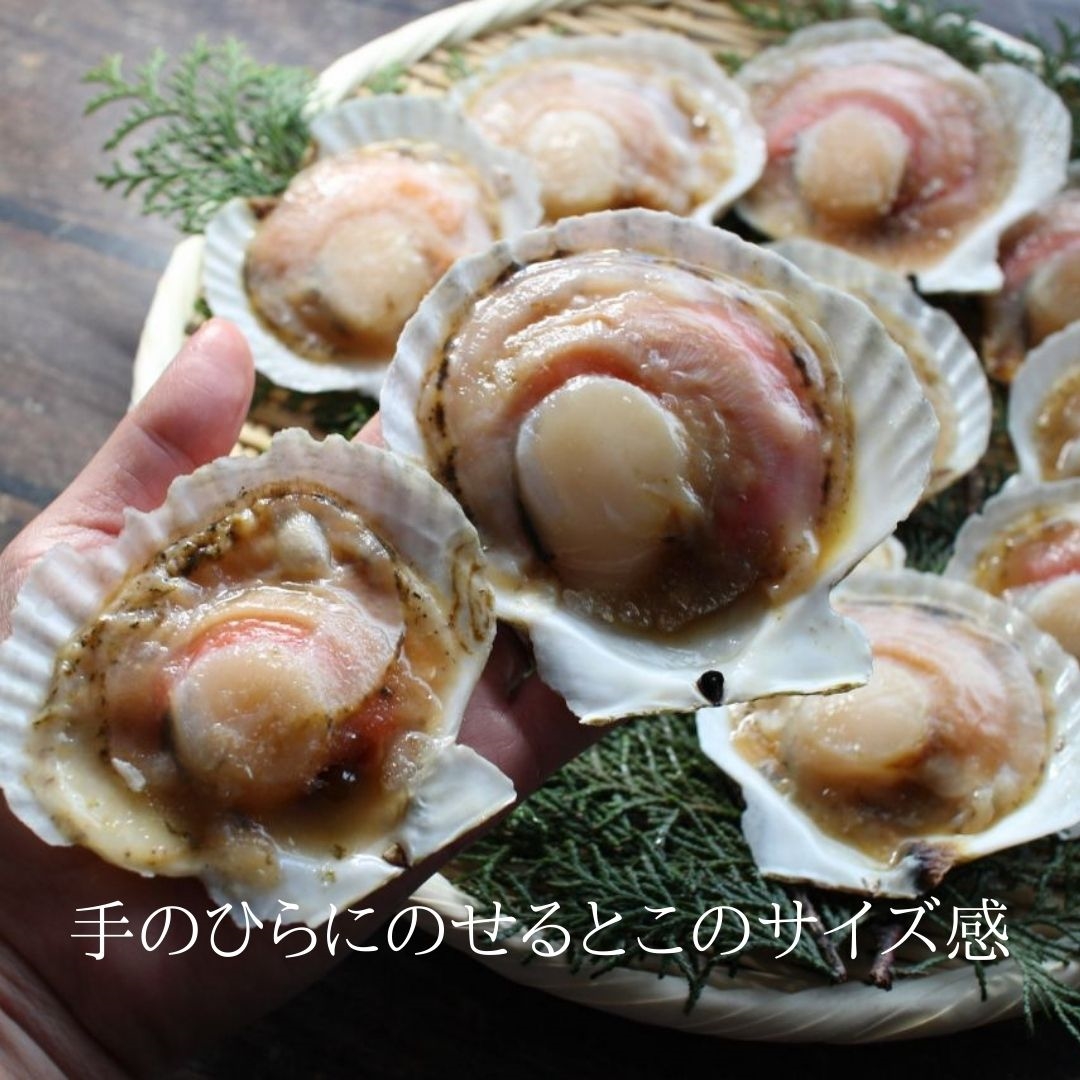 訳あり 殻付き生ほたて 片貝付き 1ｋ 約枚 北海道産 冷凍 ホタテ 帆立 産地 製造方法 ざこばの朝市 公式オンラインショップ