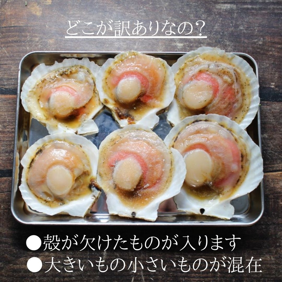 訳あり 殻付き生ほたて 片貝付き 1k 約枚 北海道産 冷凍 ホタテ 帆立 産地 製造方法 ざこばの朝市 公式オンラインショップ 訳あり 殻付き生ほたて 片貝付き 1k 約枚 北海道産 冷凍 ホタテ 帆立 産地 製造方法 ざこばの朝市 公式オンラインショップ