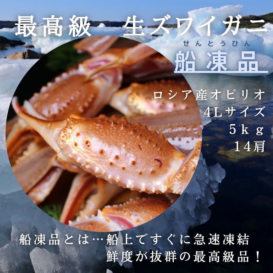 最高級 船凍品 生ずわいがに 4L 5kg 14肩 約10人前 送料無料 オピリオ種 | ざこばの朝市 公式オンラインショップ｜鮭・数の子・うなぎ・旬の海鮮を通販で  | ざこばの朝市で旬の魚をお取り寄せ